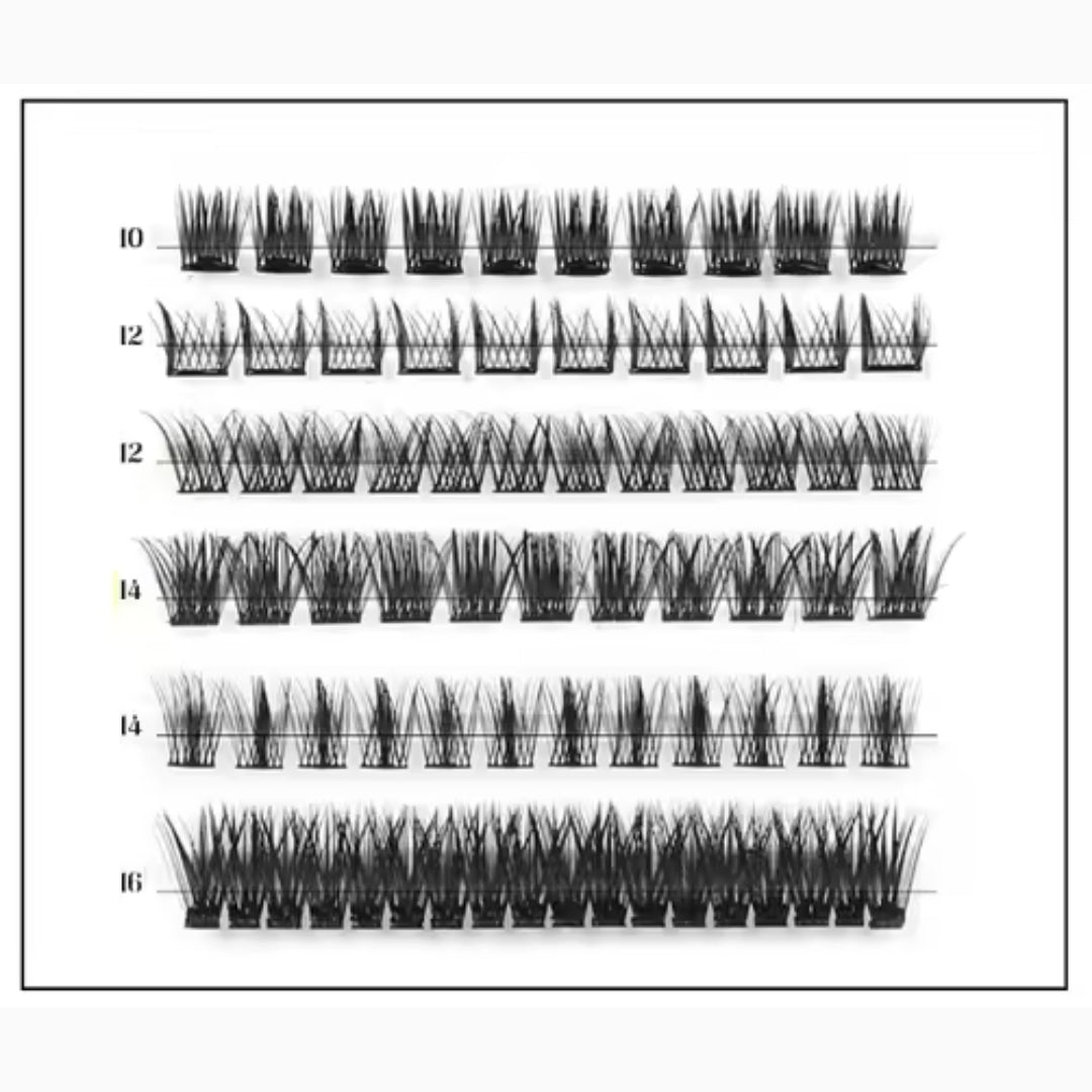 Lash Discovery Starter Kit